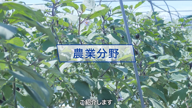 動画：大阪府の気候変動適応の取組（農業分野）
