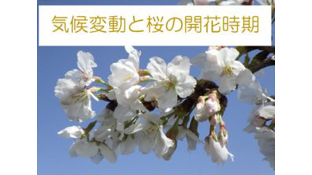 動画：大阪府の気候変動と桜の開花時期