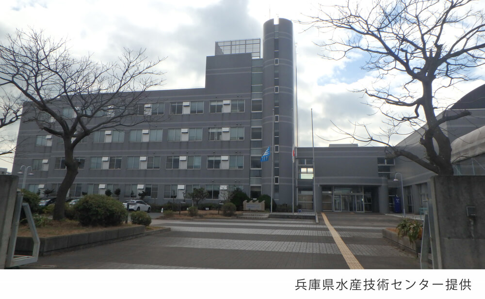 兵庫県水産技術センター