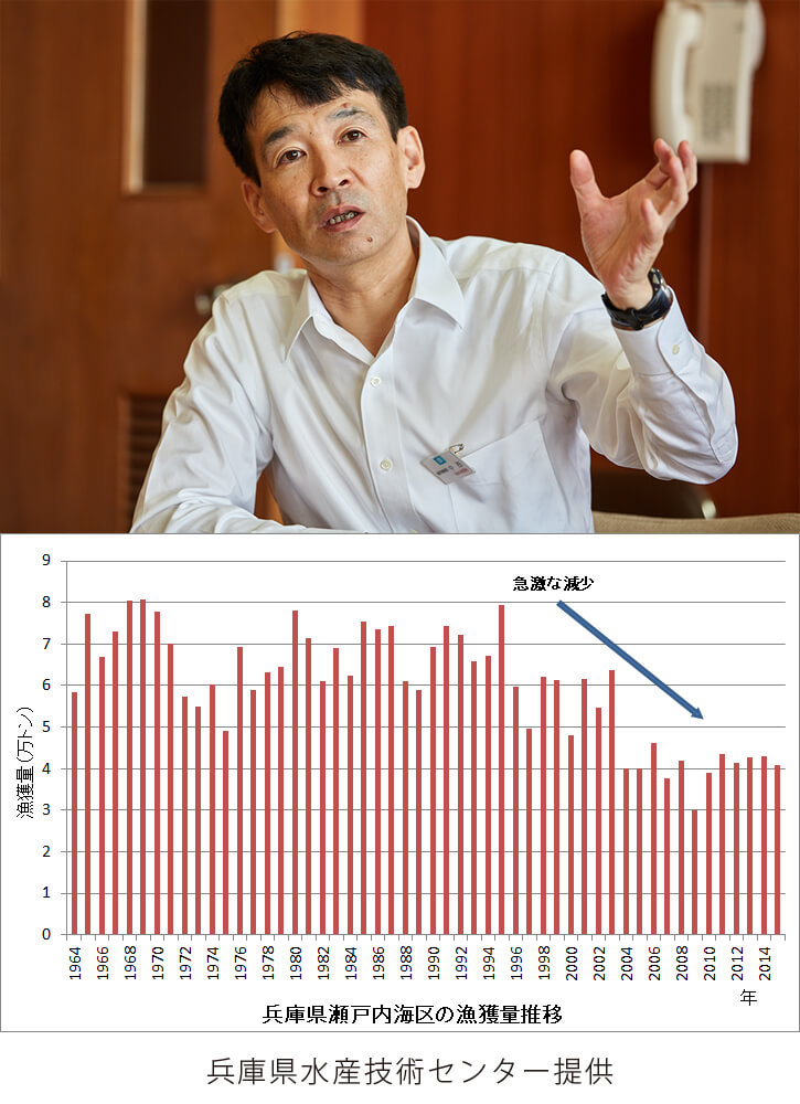 上　中西寛文さん 下　兵庫県瀬戸内海の漁獲量の推移のグラフ