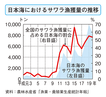 日本海におけるサワラ漁獲量の推移