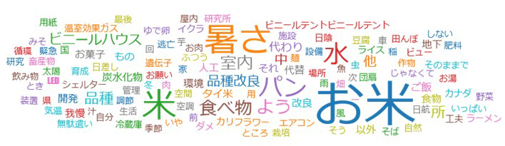 アンケートの回答内容に、お米、暑さ、パンなどのキーワードを回答した人が多いことが分かる