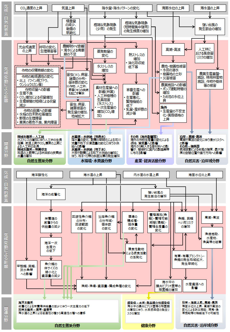 気候変動により想定される影響の概略図