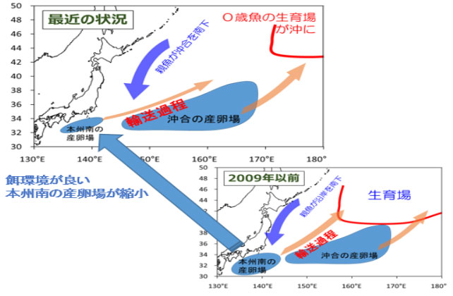 サンマの不漁の要因（仮説）