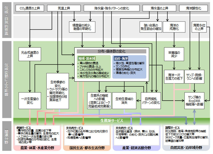 気候変動により想定される影響の概略図