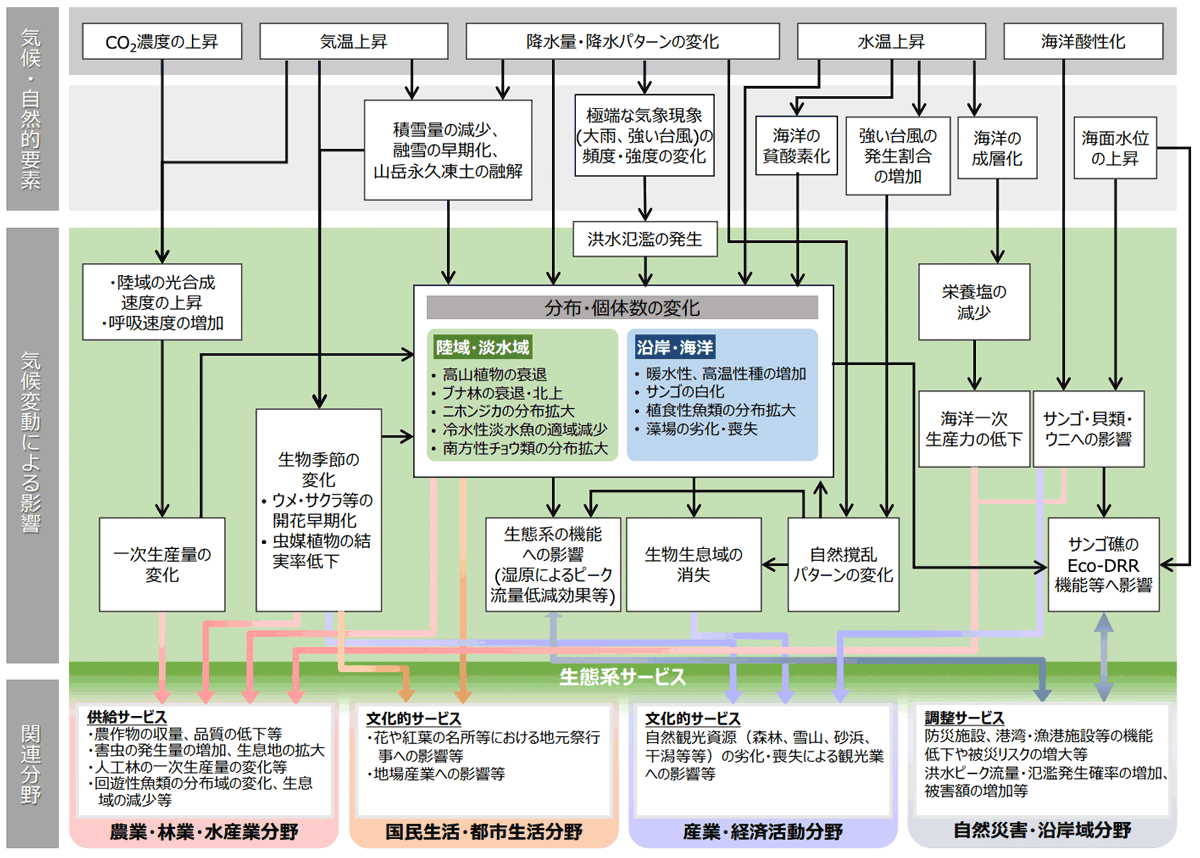 気候変動により想定される影響の概略図