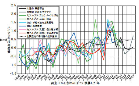 ハイマツの年枝伸長量の経年変化