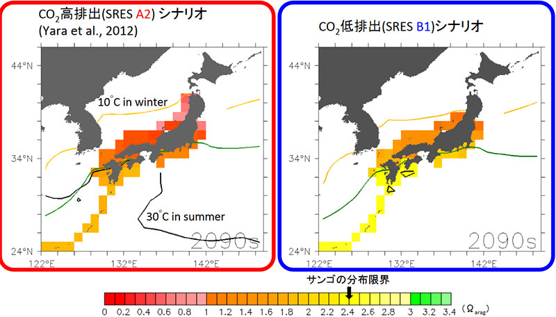 サンゴの分布変化