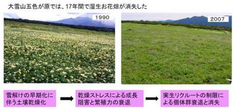 主な影響の発生状況