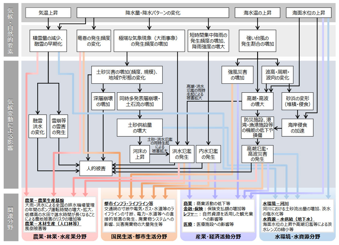 気候変動により想定される影響の概略図