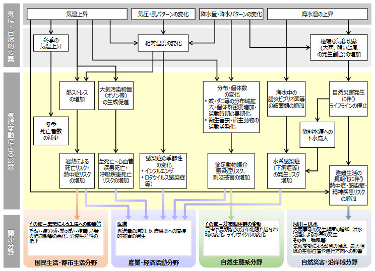 気候変動により想定される影響の概略図