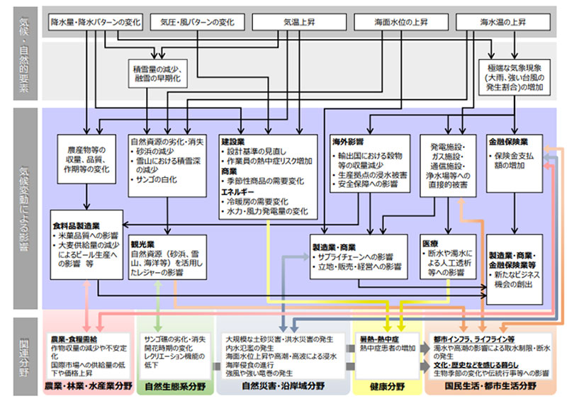 気候変動により想定される影響の概略図