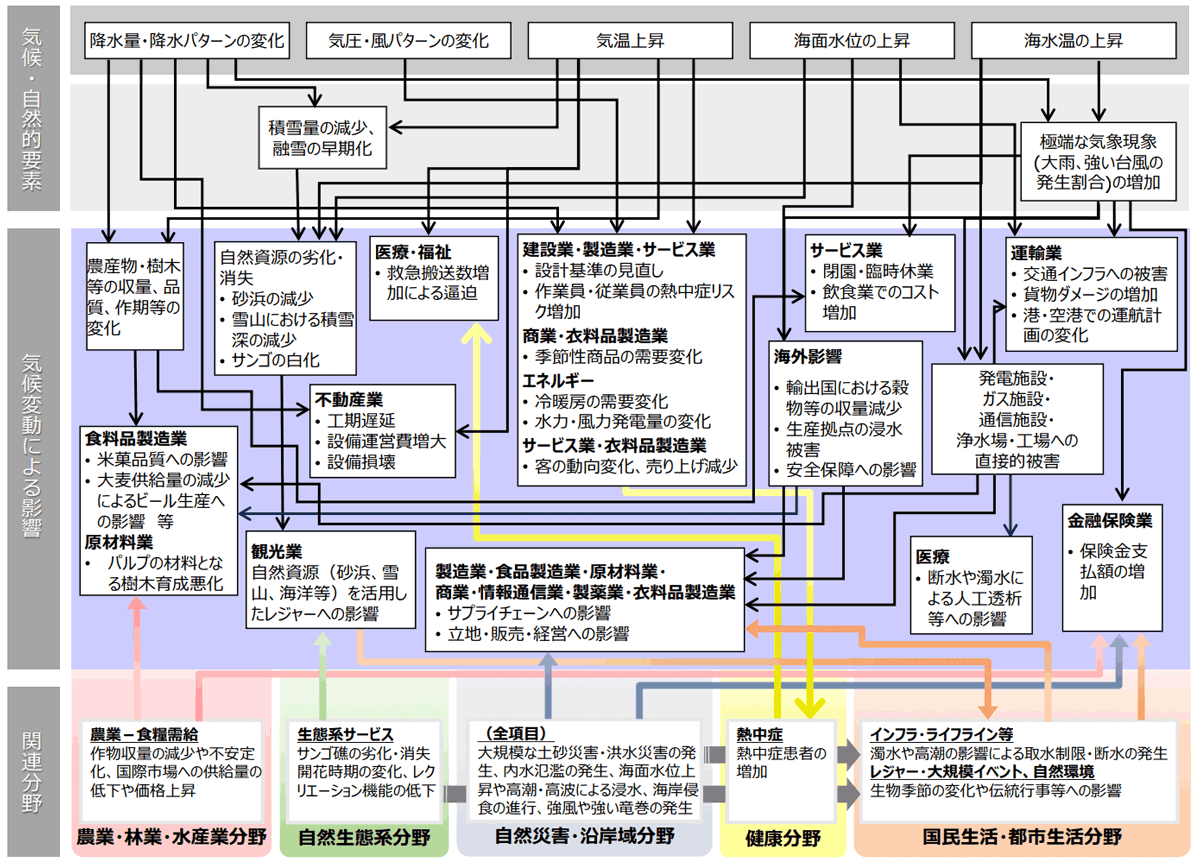 気候変動により想定される影響の概略図