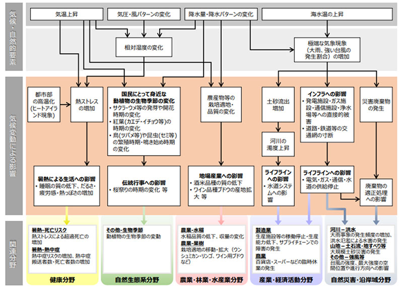 気候変動により想定される影響の概略図