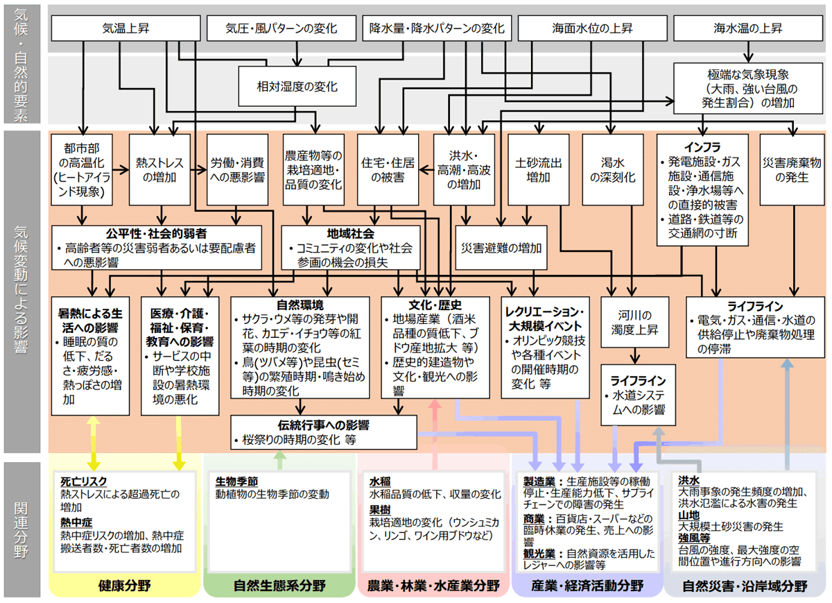 気候変動により想定される影響の概略図