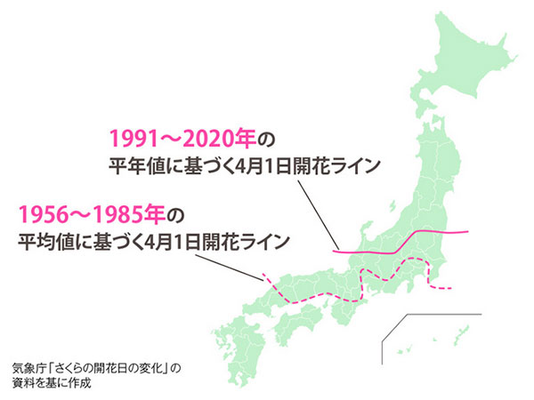 サクラの4月1日の開花ラインの変化