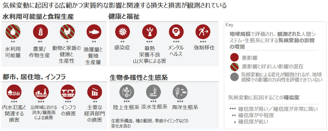 観測された気候変動の影響、損失・損害