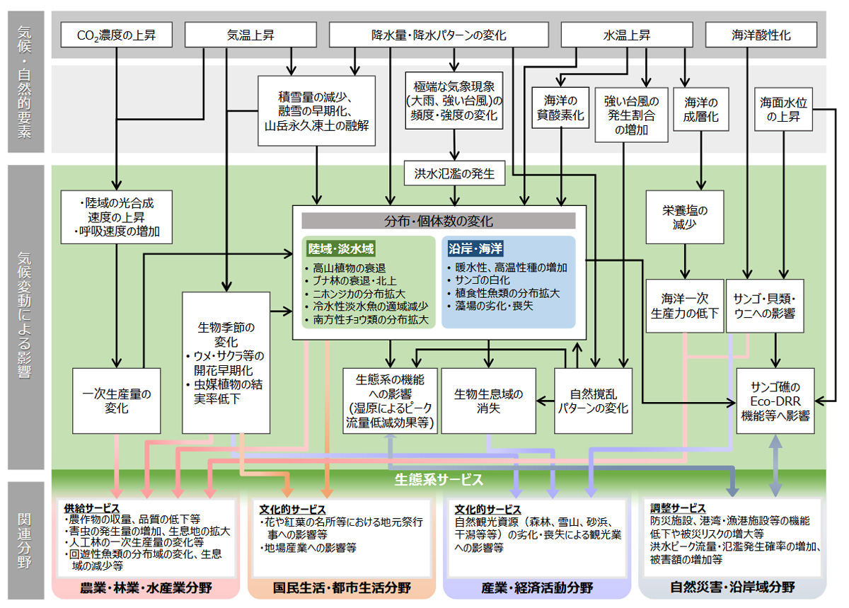 気候変動により想定される影響の概略図（自然生態系分野）