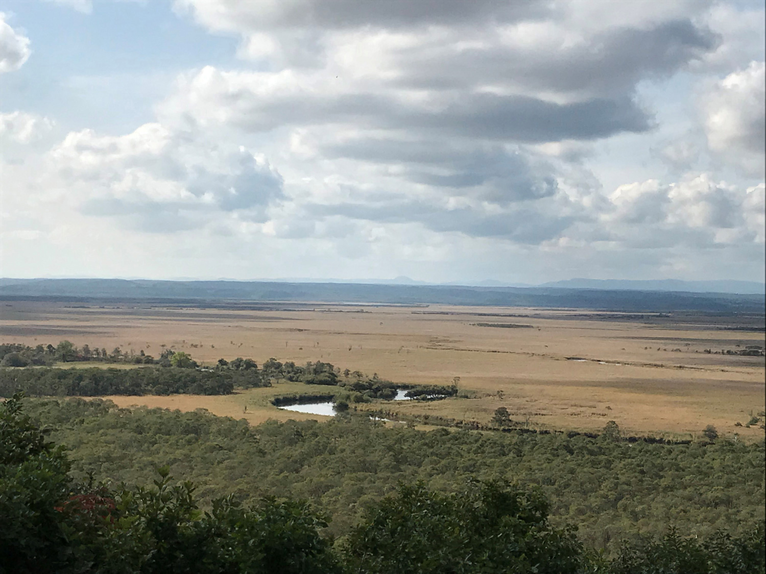 釧路湿原の写真
