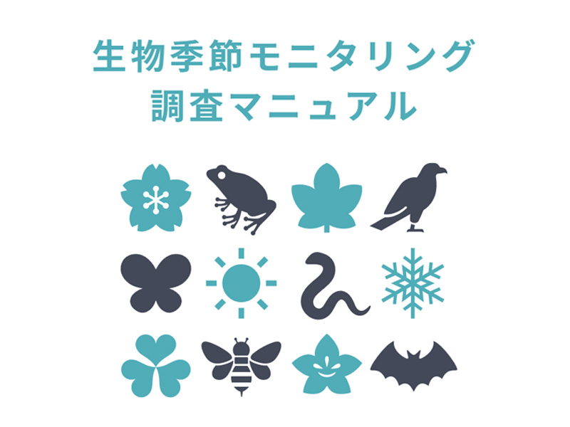 調査マニュアル表紙