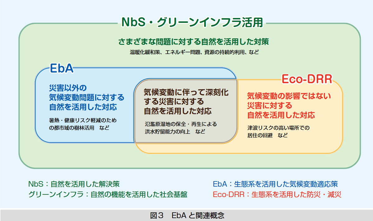 NbS、EbA、Eco-DRR、グリーンインフラの関係図