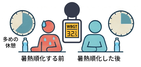 暑熱順化する前と後