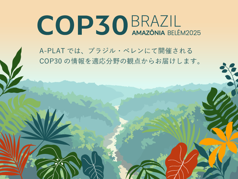 COP30 気候変動適応特集！
