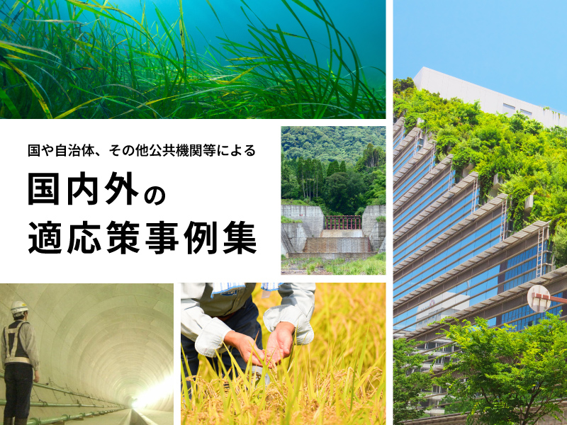 国内外の適応策事例集