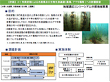 3-1 気候変動による水産業及び生物生息基盤（藻場、アマモ場等 ）への影響調査