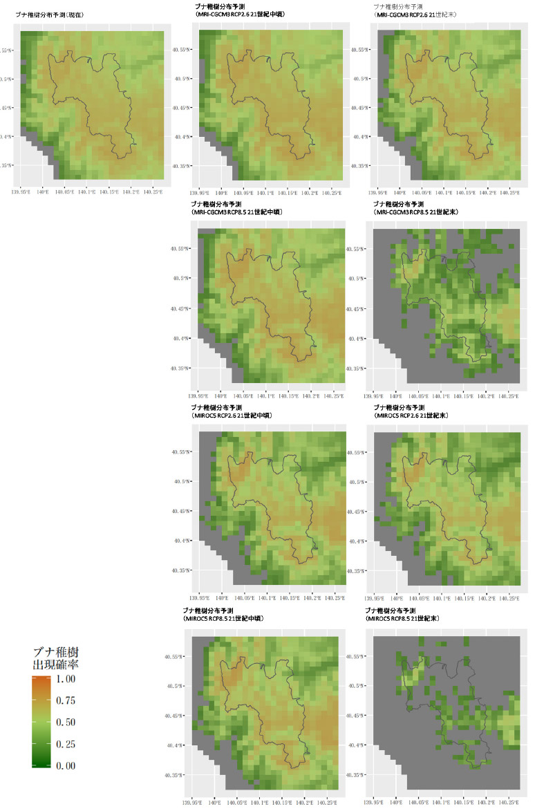 白神山地における現在・将来のブナ稚樹分布ポテンシャルマップ