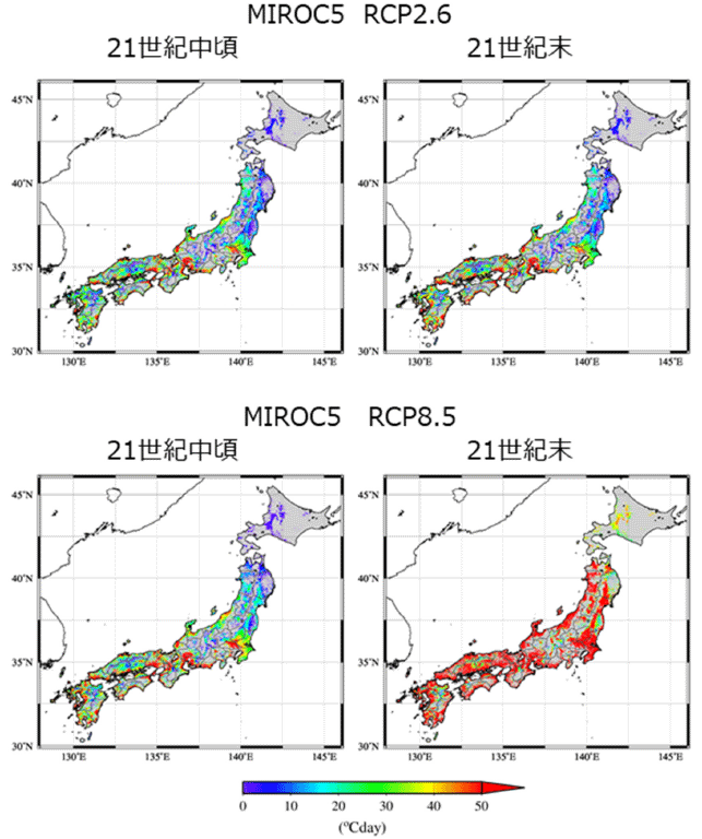 MIROC5を使用した高温による品質低下リスク指標（HD_m26）の分布