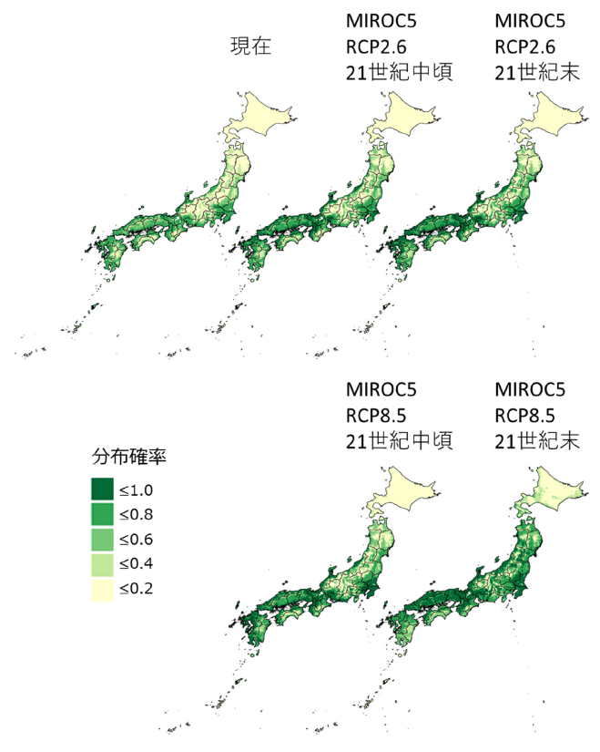 気候変動による竹林の分布可能域の変化（MIROC5）