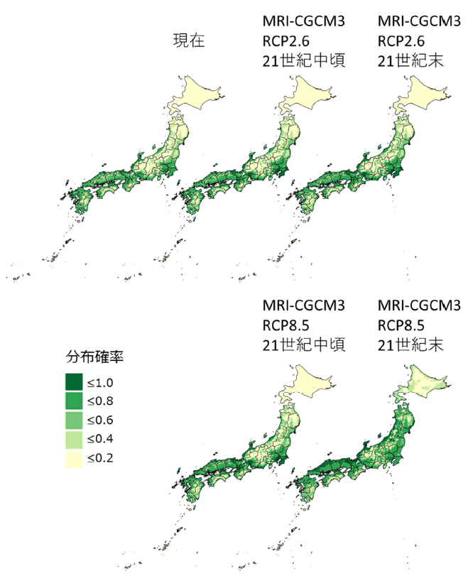 気候変動による竹林の分布可能域の変化（MRI-CGCM3）