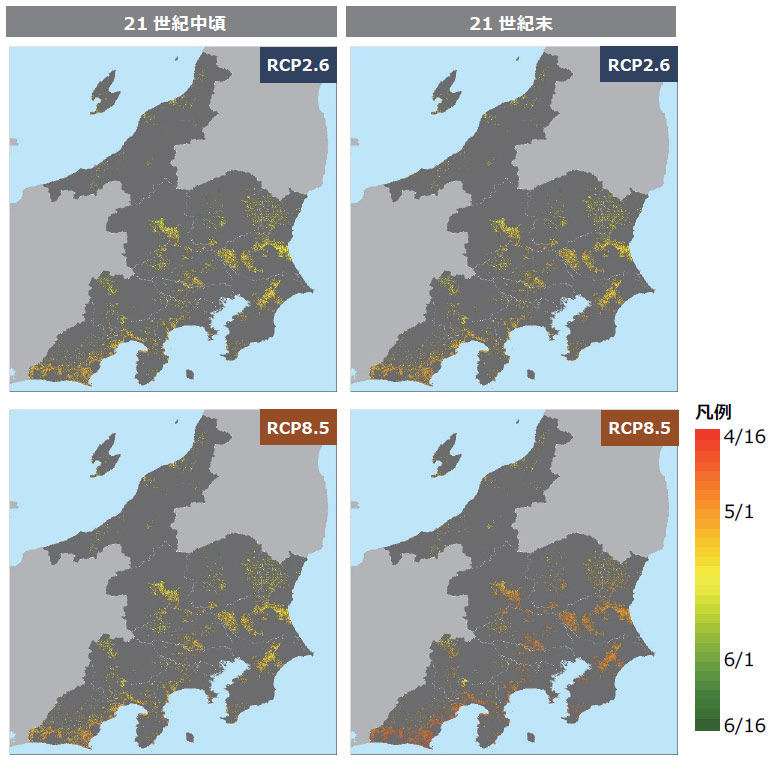 関東地域の一番茶摘採期予測（MRI-CGCM3）