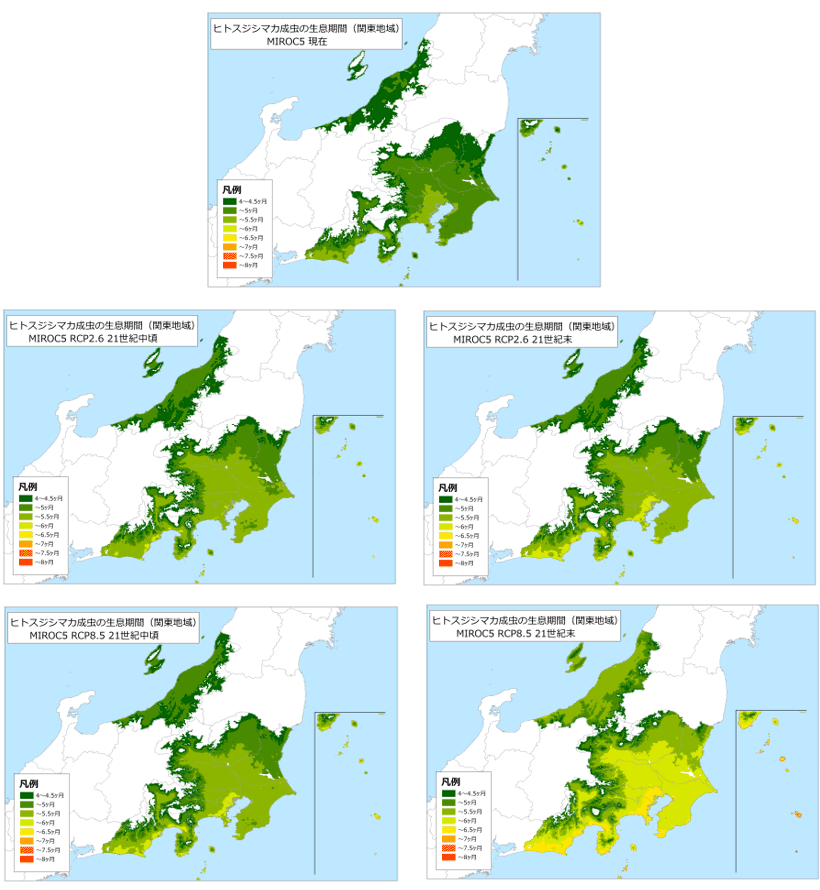 ヒトスジシマカ成虫の生息期間（関東地域）（MIROC5）