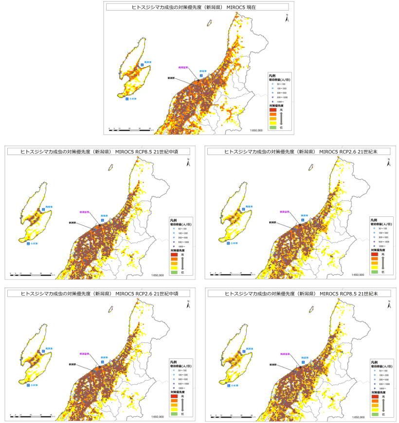 ヒトスジシマカ成虫の対策優先度（新潟県（北））（MIROC5）