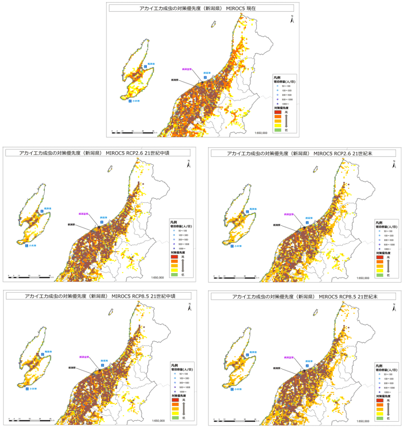 アカイエカ成虫の対策優先度（新潟県（北））（MIROC5）