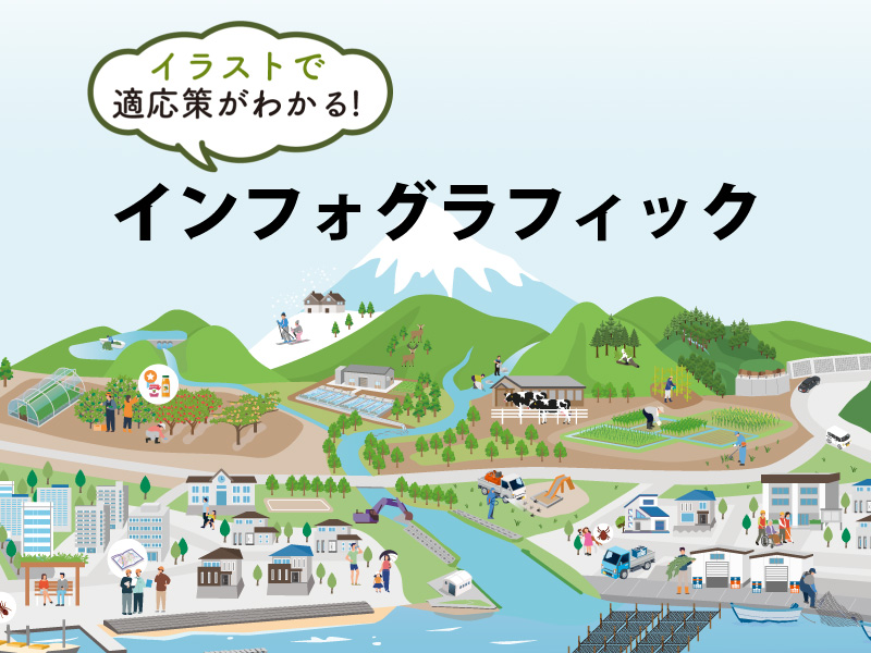 インフォグラフィック