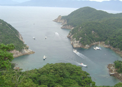 牟岐大島内湾
写真:千年サンゴと活きるまちづくり協議会提供