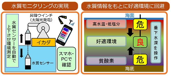 トリガイ養殖のICTシステム