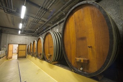 INRAの農業・ワイン実験用ワイナリー