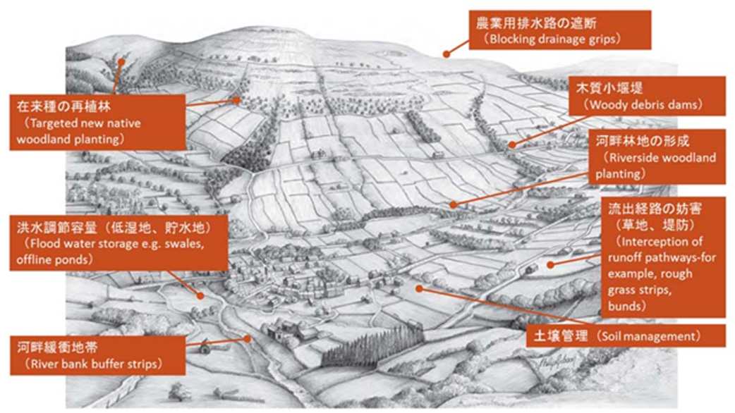 ヨークシャー・デール国立公園内で自然を活かした洪水管理が実施可能な立地
