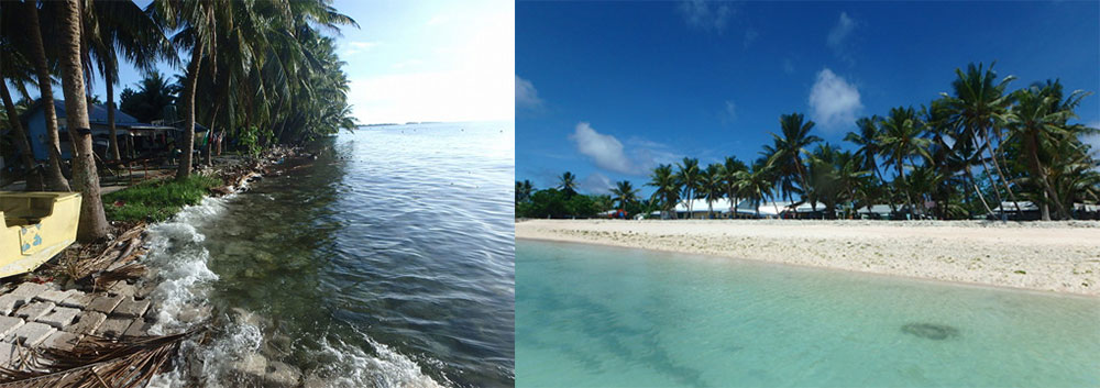 工事前(左)と工事後(右)のプロジェクトサイトの様子