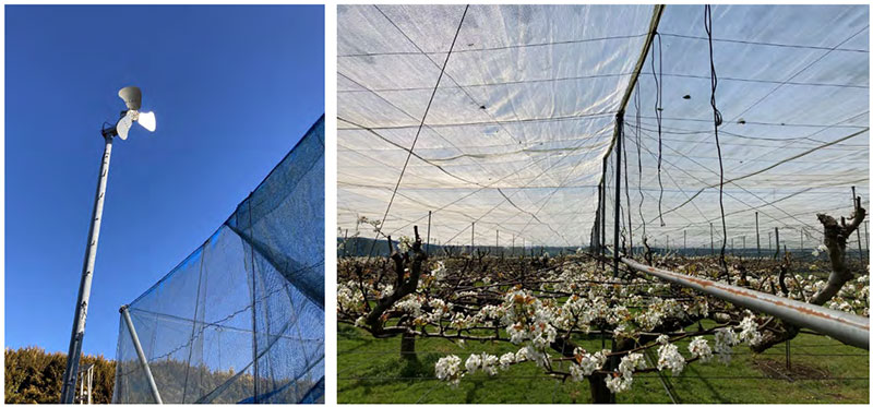 防霜ファン(左)と多目的防災網(右)