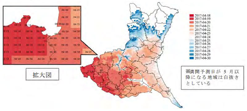 ニホンナシ「幸水」の開花予測日の表示例