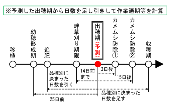 「でるた」による予測・計算方法
