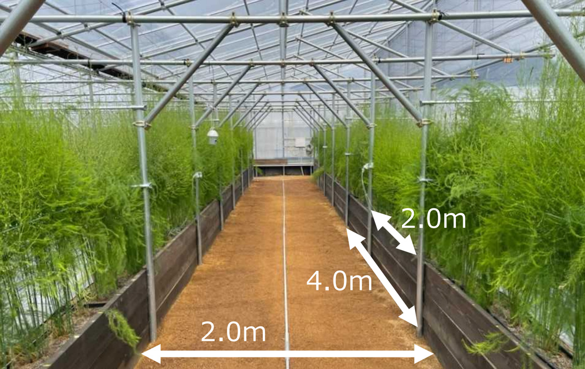 NNハウスの内観・寸法(※令和3年3月撮影)
