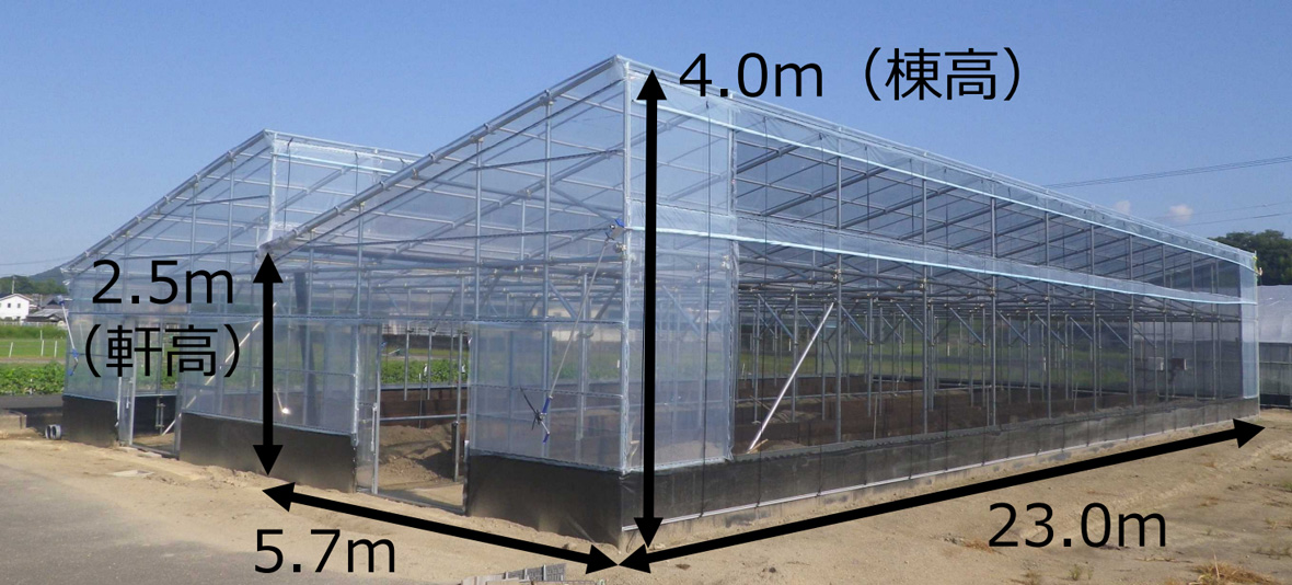 NNハウスの外観・寸法
