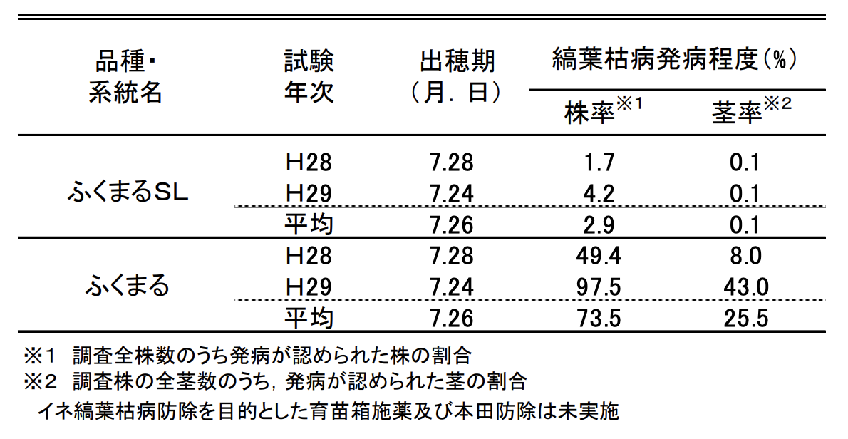 イネ縞葉枯病発生ほ場における発病程度