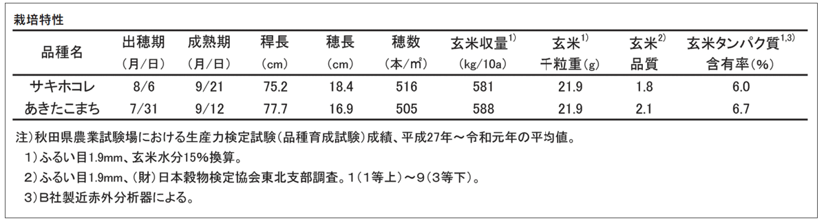 サキホコレとあきたこまちの成熟期の草姿